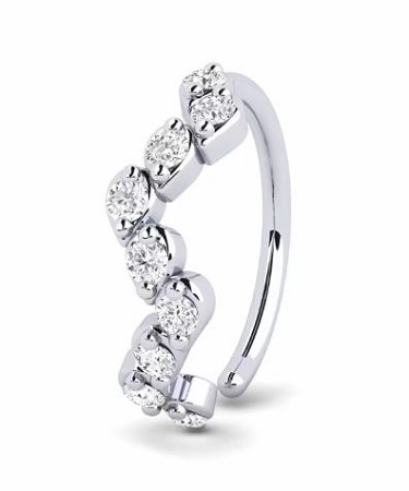 Palladium Nosering Jewellery